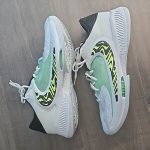 NIKE ZOOM FREAK 4 GIANNIS SIZE 10.5US MEN
